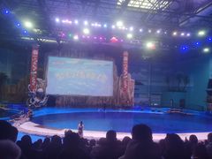 -华夏文旅海洋公园