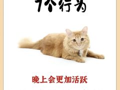 -博特宠物医院24h犬猫全科.骨科·异宠