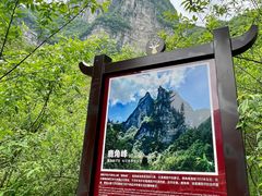 -鹿院坪生态旅游景区