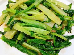 -粤集·手工粤菜(皇庭广场店)