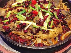 -老板恋上鱼(恒隆广场店)