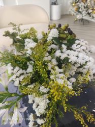 -HEYAN荷妍专业脱毛连锁机构