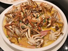 -新南华大酒店(广中店)