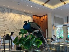 -西双版纳融创皇冠假日度假酒店