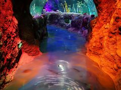 -沈阳海洋探索中心