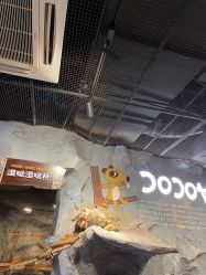 -Zoolung Zoolung动物主题公园(海信广场店)
