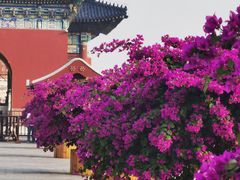 -天坛公园