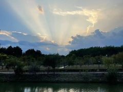 -桃源咖啡厅(武夷山大红袍山庄店)