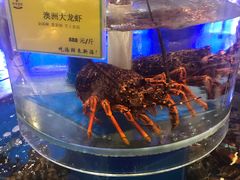 水产区-新海渔港·胶东海鲜家常菜·家宴(奥体中心店)