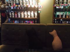 -猫咪博物馆(顶澳仔猫街店)