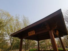 -大兴滨河森林公园