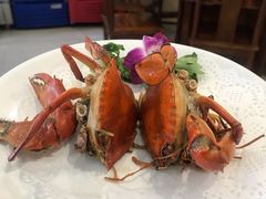 干煎膏蟹-友强·23年特色海鲜大排档(厦门店)