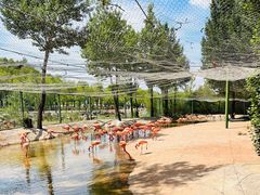 -鄂尔多斯野生动物园