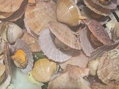 -三个渔夫·蒸汽海鲜(小白楼店)