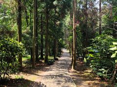 -狼山风景名胜区