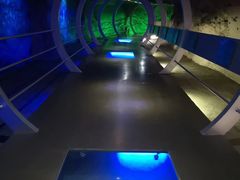 -中国西峡恐龙遗迹园
