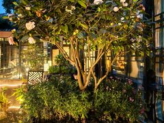 -大妙火锅·非物质文化遗产(东湖公园店)