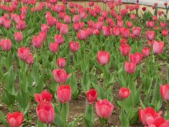 -长春公园(普阳街道)