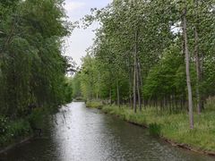 -合肥滨湖国家森林公园