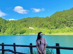 -武陵山森林公园