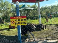 -呼兰河口湿地公园