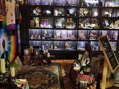 -雪灵魔法世界SHELLY’S TAROT(大良桂畔里店)