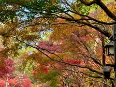 -灵顺寺