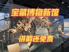 -四川大学博物馆