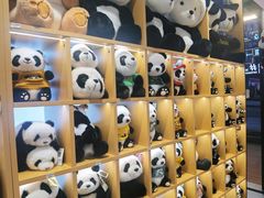 -重庆十八梯传统风貌区