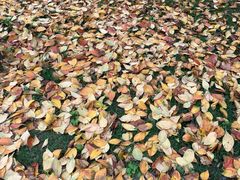 -河南省黄河迎宾馆
