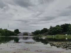 -映月湖公园