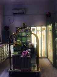 -OOAK设计师品牌概念店(新乐路店)