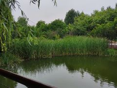 -红旗渠风景区
