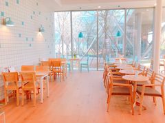 -猫的天空之城概念书店(北戴河蔚蓝海岸店)