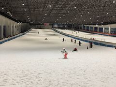 -绍兴启迪乔波冰雪世界