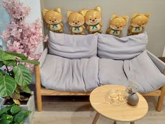 -柴迷FANS CLUB·柴犬狗咖·猫咖