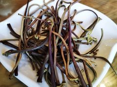 -四姑娘山阿巴郎·藏式花园餐厅