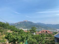 -北宅大永樱桃采摘基地(崂山总部)