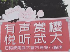 -武汉大学-樱园