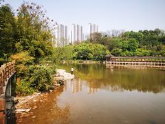 -龙头寺公园
