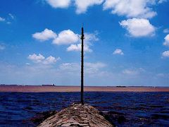 -上海滨江森林公园