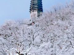 -高尔山公园