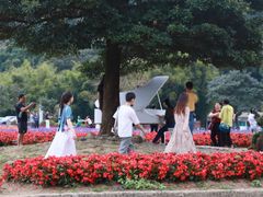 -广州市石门国家森林公园