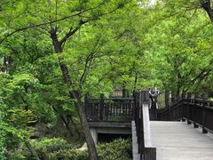 -崂山仰口游览区