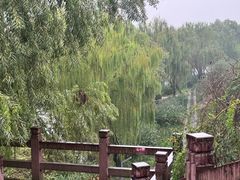 -黎阳老街