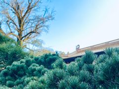 -普陀山风景名胜区-法雨禅寺