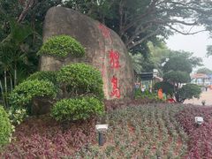 -野狸岛