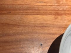 -渔米粥(罗湖店)