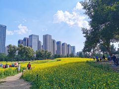 -长白岛森林公园