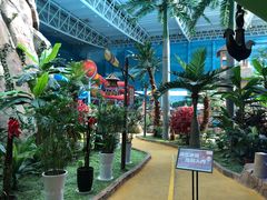 -青岛东方影都融创水世界